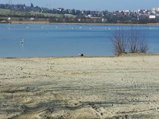 Penzion u vody - Pilsen - 2