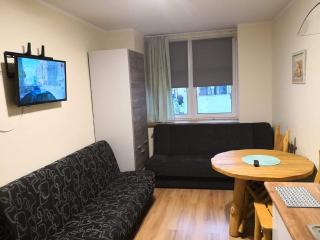 Apartamenty Górskie LĄDEK-ZDRÓJ - 5