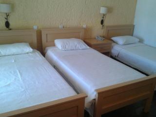 Andros Holiday Hotel - Gavrio - 7