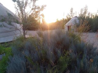 Yurt camp Tosor - 3