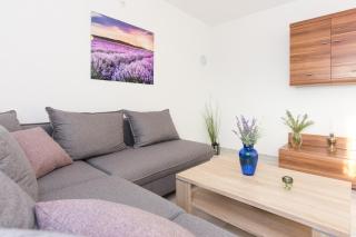 Apartment Dajana - Pinezici - 1