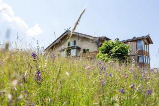 Der Zirmerhof 4S - Redagno - 0