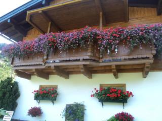 Bergblick - Wagrain - 9