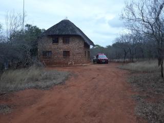 Little Bush Baby - Marloth Park - 2