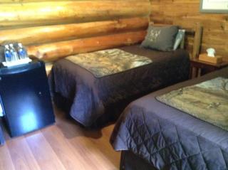 Summit River Lodge & Campsites - Valemount - 4