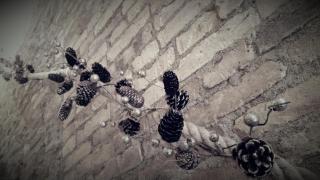 Dolce Dimora Charme - 1