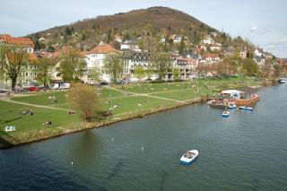 Wohnung am Neckar - Heidelberg - 7