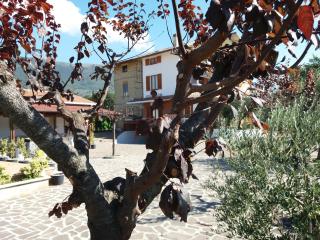 Bed & Breakfast Ciancaleoni - Rivotorto - 8