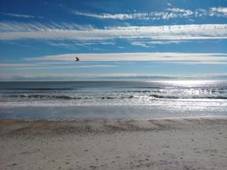 Palms Resort - Myrtle Beach - 8