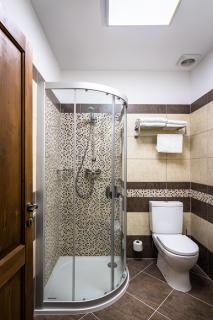 Wellness Hotel Holzberg - Suchá Rudná - 6
