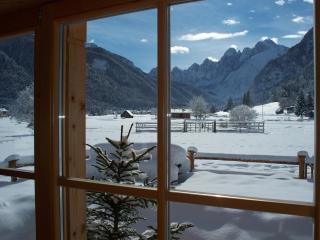 Alpi Giulie Chalets - Valbruna - 5