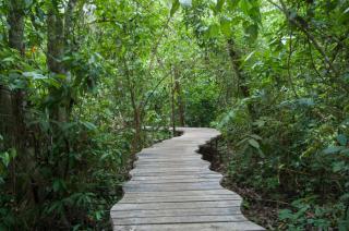 Danta Corcovado Lodge - Rincón - 3