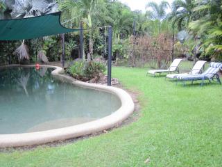 Daintree Wild Bed & Breakfast - Daintree - 5