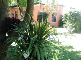 Posta Batata - Paraná - 3
