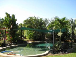 Daintree Wild Bed & Breakfast - Daintree - 6