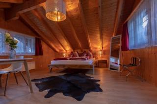 Chalet Wäschhüsli near Interlaken, Grindelwald and Lauterbrunnen - Gsteigwiler - 0