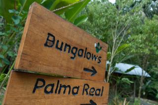 Danta Corcovado Lodge - Rincón - 1