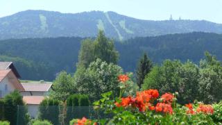 Ferienhotel Münch - Neukirchen beim Heiligen Blut - 8