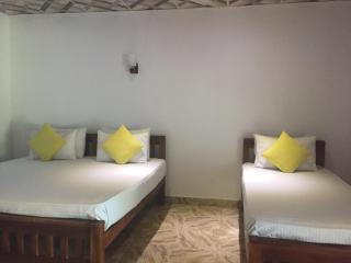 Thisara Guest House - Polonnaruwa - 6