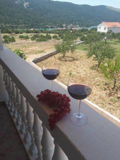 Apartments Ante-Gojko - Grebaštica - 9