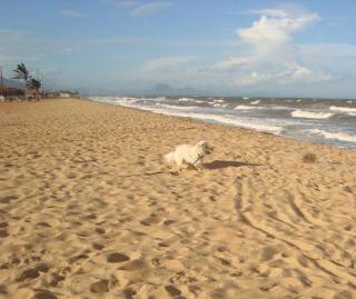 Casa de Praia - LONG BEACH - Cabo Frio - Unamar - Angelim - 4