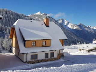 Tauernhaus Appartment - Planneralm - 4