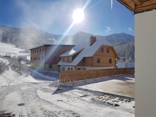 Tauernhaus Appartment - Planneralm - 2