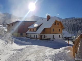 Tauernhaus Appartment - Planneralm - 1