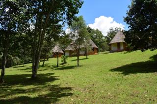 Kibale Guest Cottages - Fort Portal - 1