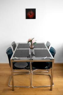 Flexible SelfCheckIns 7 - Zagreb - Garage - Electric vehicle ccharger - Loggia - New - Luxury - Apartments Repinc 7 - Zagreb - 4