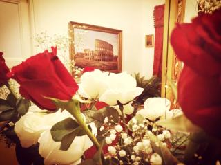 B&B Divina Roma - Rome - 1