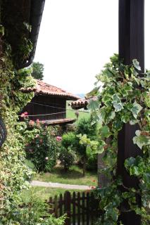 Hotel Cenera - Cenera - 1