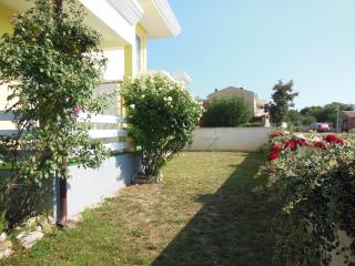 Villa Kamelija - Fažana - 3