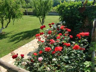 Sedir Resort - Hotel Rooms, Bungalows & Suites - 2