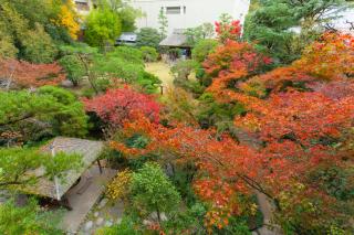 Funaya - Matsuyama - 7