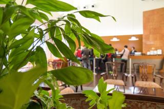 Sun Palace Hotel - Shizuoka - 3