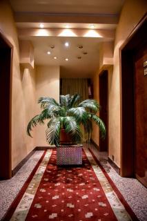 Hotel Carpati - Baia Mare - 3