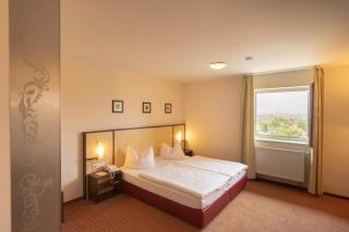 Bergwirtschaft Wilder Mann Hotel und Restaurant - Dresda - 9