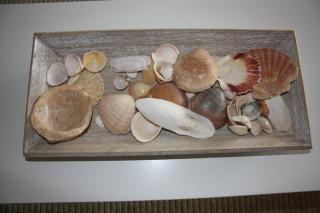 Seastar - Vilamoura - 1