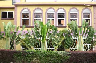 Agenda 2000 Hotels Ltd - Kampala - 6