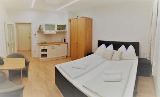 Vienna City Apartment in Mariahilfer Straße - 6