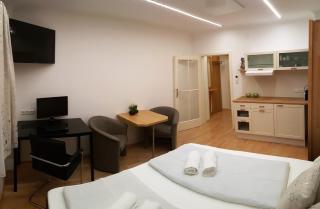 Vienna City Apartment in Mariahilfer Straße - 1