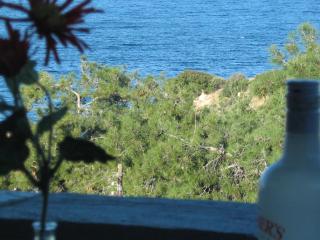 Leandros Hotel - Nea Roda - 4