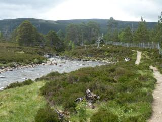 Braemar Youth Hostel - 1