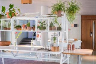 blooming - Bergen - 7
