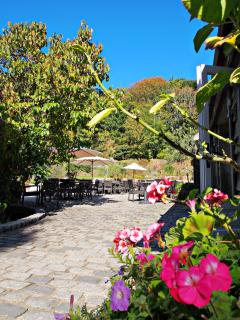 Stocks Hotel - Sark - 5