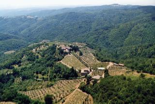 Azienda Agricola di Fietri - San Vincenti - 7
