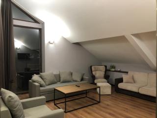 Duplex Apartment in New Gudauri near Gondola - Gudauri - 4