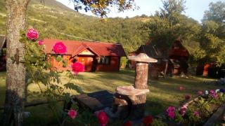 Malo selo Bojanovići - Golovo - 6