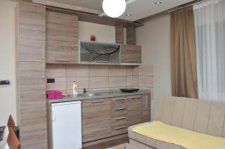 Apartments Zivkovic, Milmari D - Kopaonik - 9